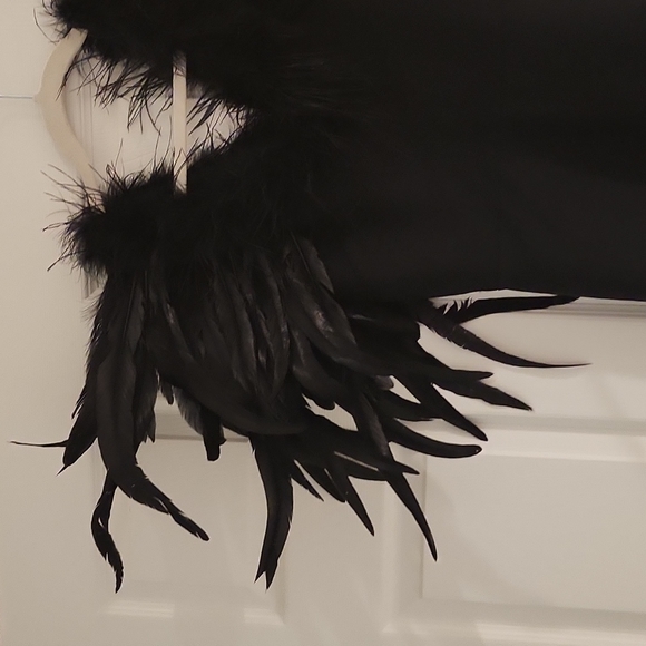 Fashion nova maxi dress with feathers - Picture 10 of 16